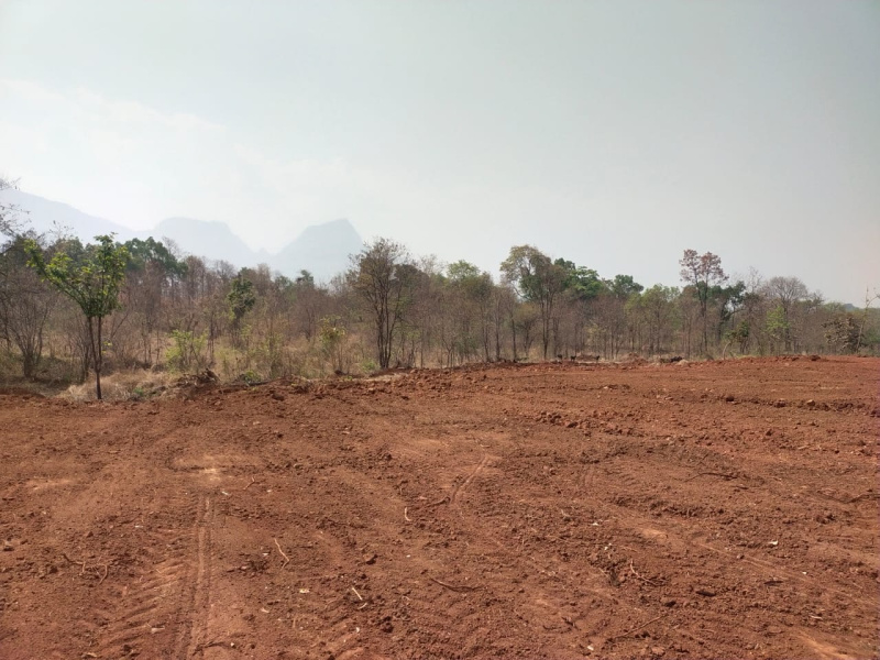 100 Guntha Agricultural/Farm Land for Sale in Murbad, Thane (2 Acre)