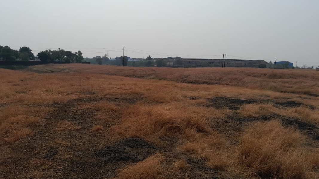 11.5 Acre Agricultural/Farm Land for Sale in Shahapur, Thane