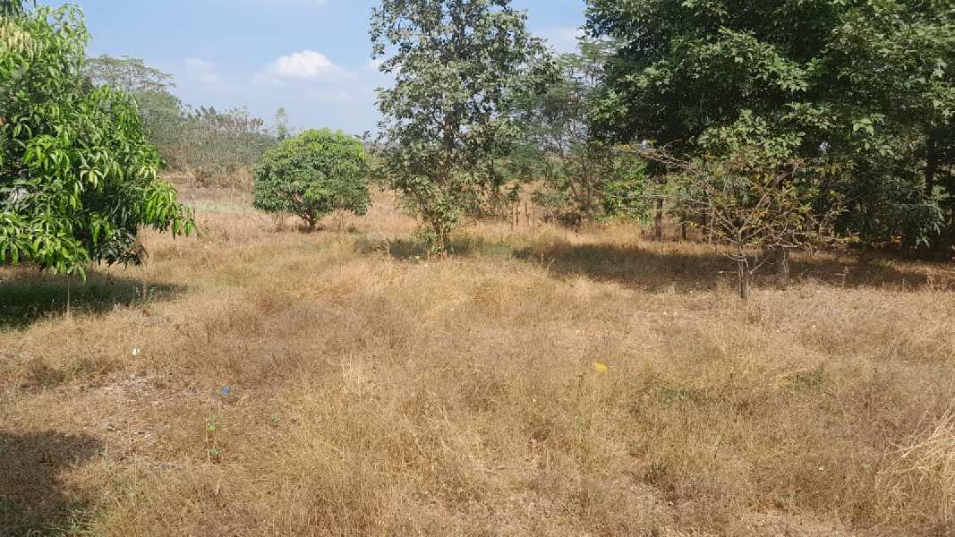 19 Guntha Agricultural/Farm Land for Sale in Thane