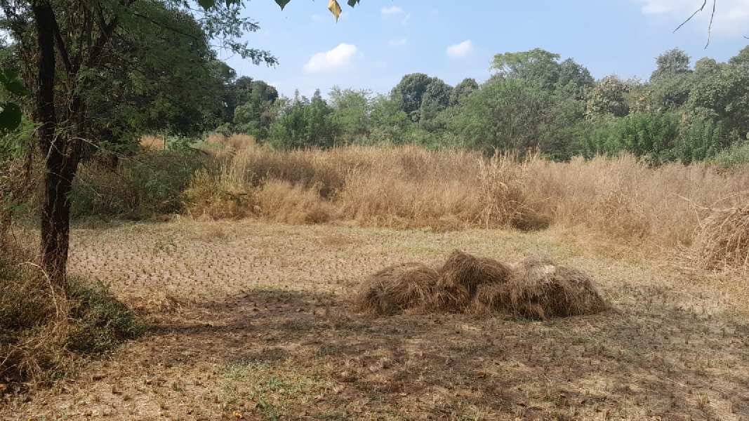 19 Guntha Agricultural/Farm Land for Sale in Thane