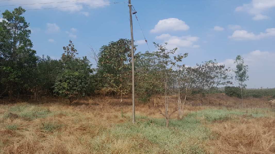 50 Sq.ft. Agricultural/Farm Land for Sale in Murbad, Thane