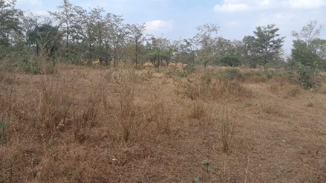 1 Acre Agricultural/Farm Land for Sale in Murbad, Thane