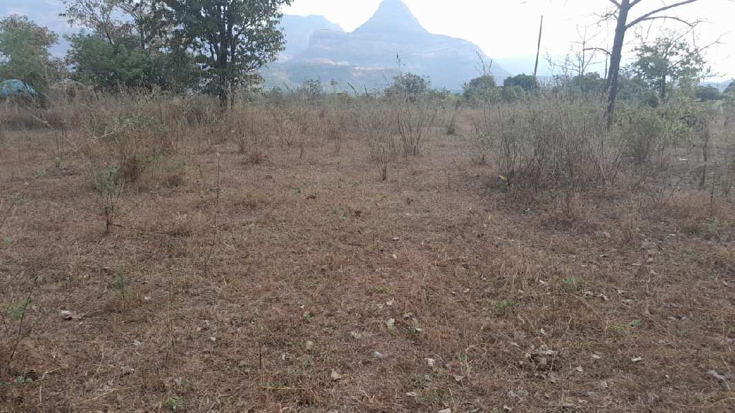 1 Acre Agricultural/Farm Land for Sale in Murbad, Thane
