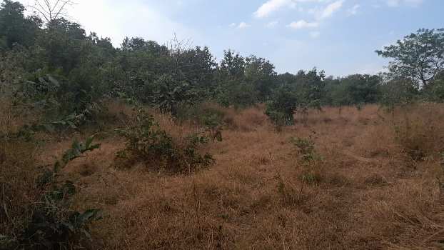 60 Guntha Agricultural/Farm Land for Sale in Murbad, Thane