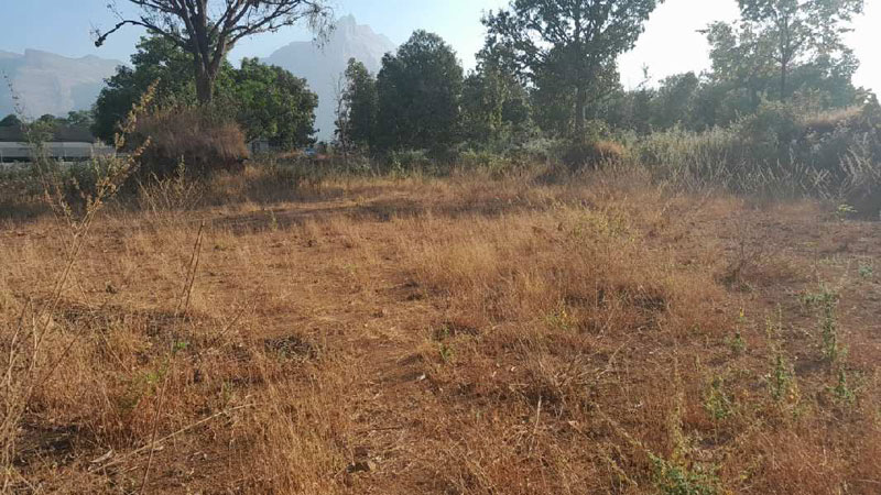 4.7 Acre Agricultural/Farm Land for Sale in Murbad, Thane