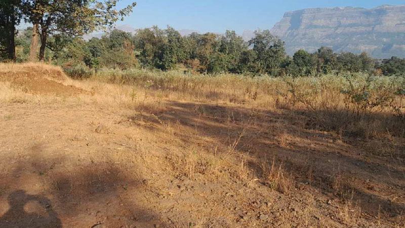 4.7 Acre Agricultural/Farm Land for Sale in Murbad, Thane