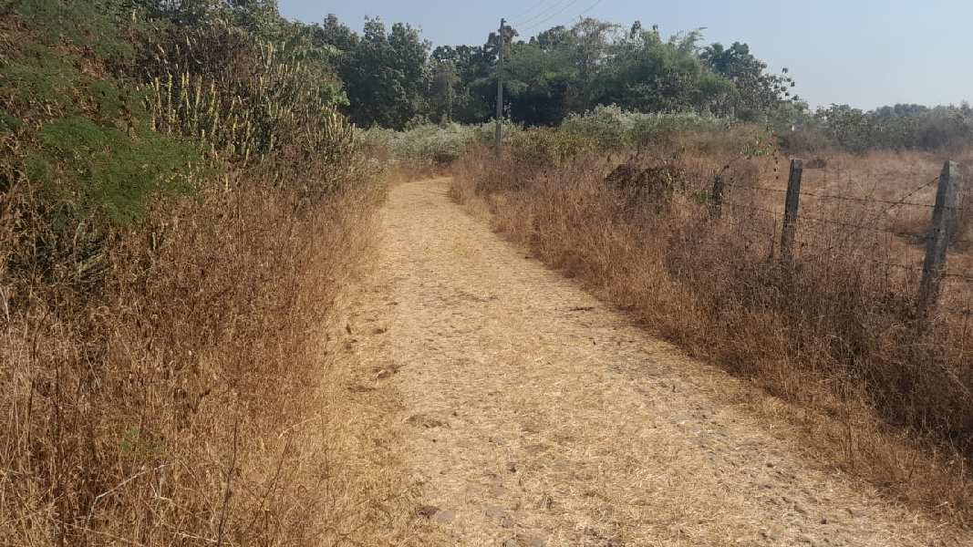 53 Guntha Agricultural/Farm Land for Sale in Murbad, Thane