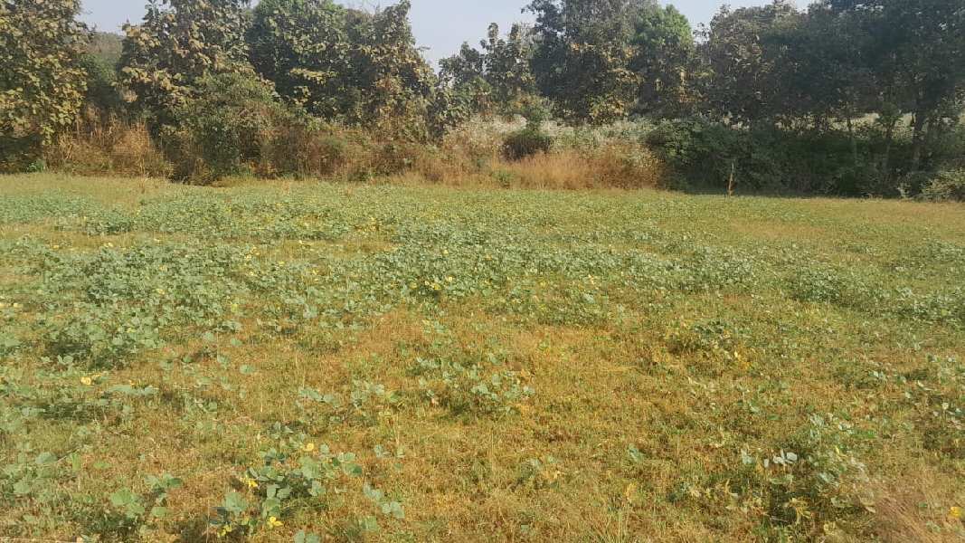 53 Guntha Agricultural/Farm Land for Sale in Murbad, Thane