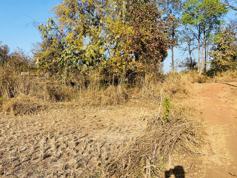 52 Guntha Agricultural/Farm Land for Sale in Murbad, Thane