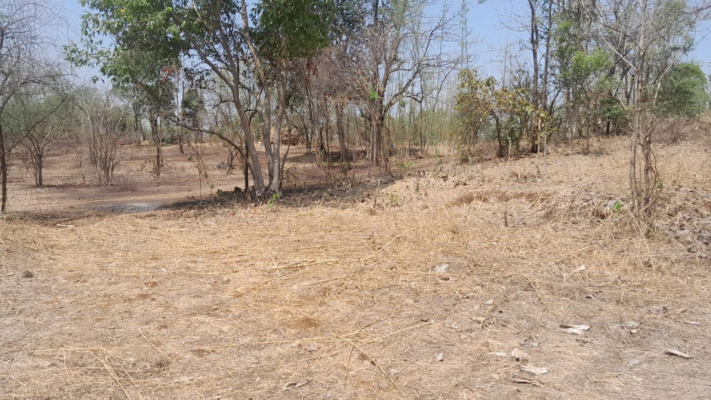 3 Acre Agricultural/Farm Land for Sale in Thane