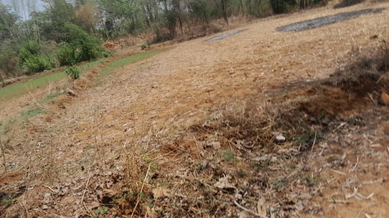 3 Acre Agricultural/Farm Land for Sale in Thane