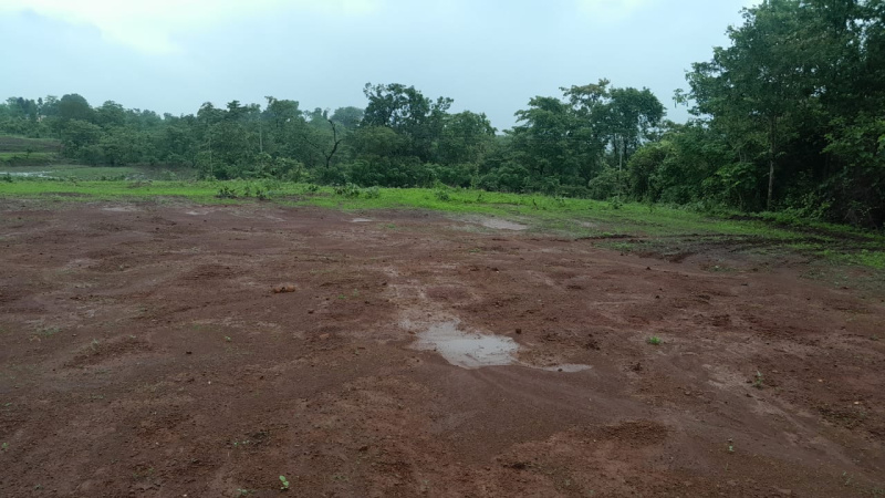 80 Guntha Agricultural/Farm Land for Sale in Murbad, Thane