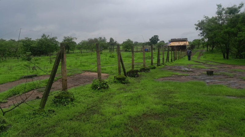 42 Guntha Agricultural/Farm Land for Sale in Saralgaon, Thane