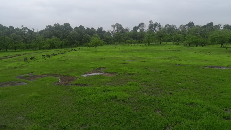 42 Guntha Agricultural/Farm Land for Sale in Saralgaon, Thane
