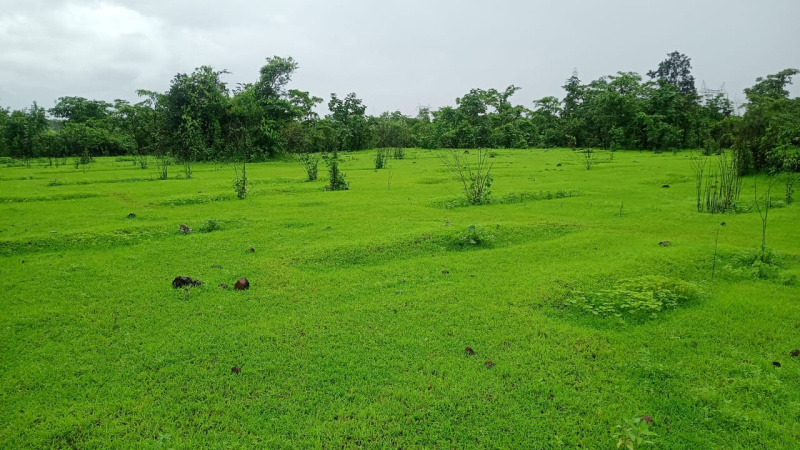 100 Guntha Agricultural/Farm Land for Sale in Murbad MIDC, Thane