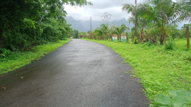 100 Guntha Agricultural/Farm Land for Sale in Murbad MIDC, Thane