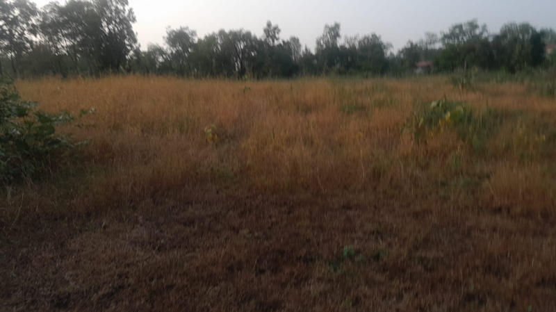 4.5 Acre Agricultural/Farm Land for Sale in Mumbai