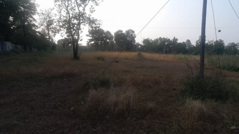 4.5 Acre Agricultural/Farm Land for Sale in Murbad MIDC, Thane