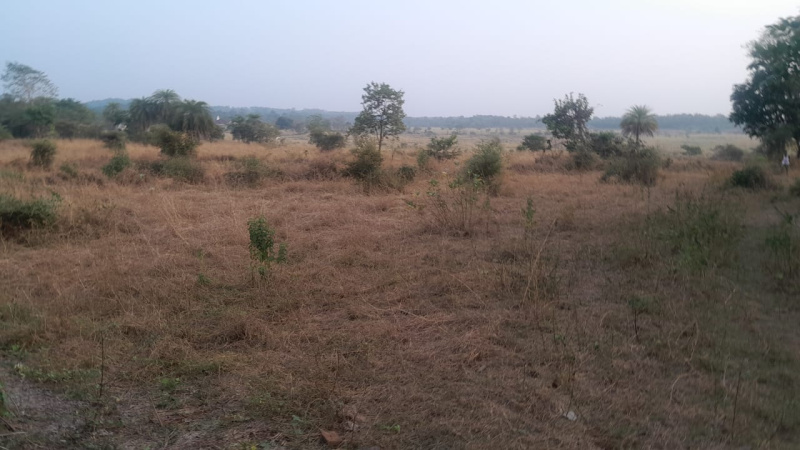 107 Guntha Agricultural/Farm Land for Sale in Murbad MIDC, Thane