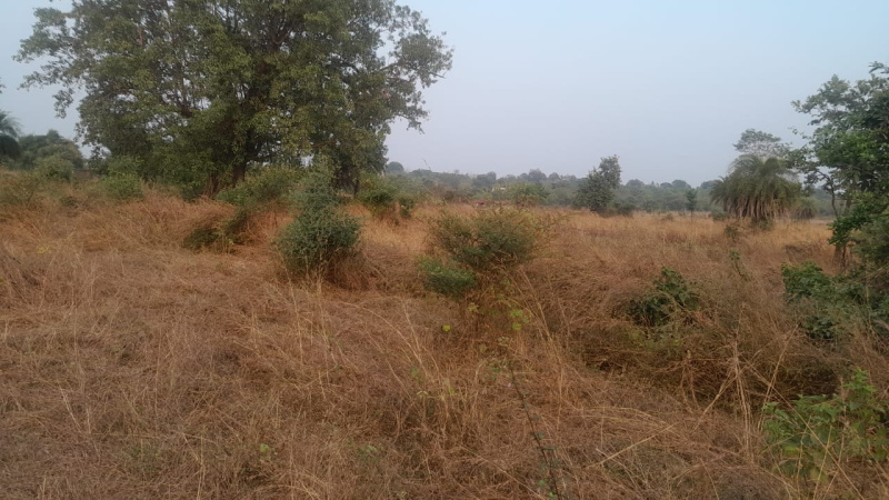 107 Guntha Agricultural/Farm Land for Sale in Murbad MIDC, Thane