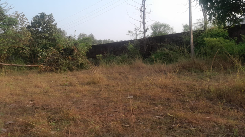 3.5 Acre Agricultural/Farm Land for Sale in Mumbai