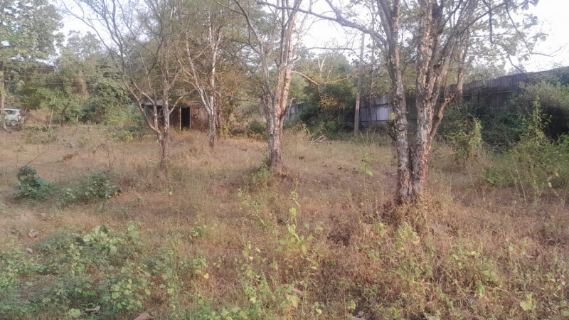 3.5 Acre Agricultural/Farm Land for Sale in Murbad MIDC, Thane