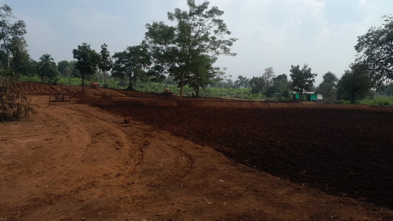8.5 Acre Agricultural/Farm Land for Sale in Murbad MIDC, Thane