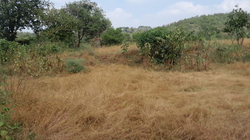 8.5 Acre Agricultural/Farm Land for Sale in Murbad MIDC, Thane