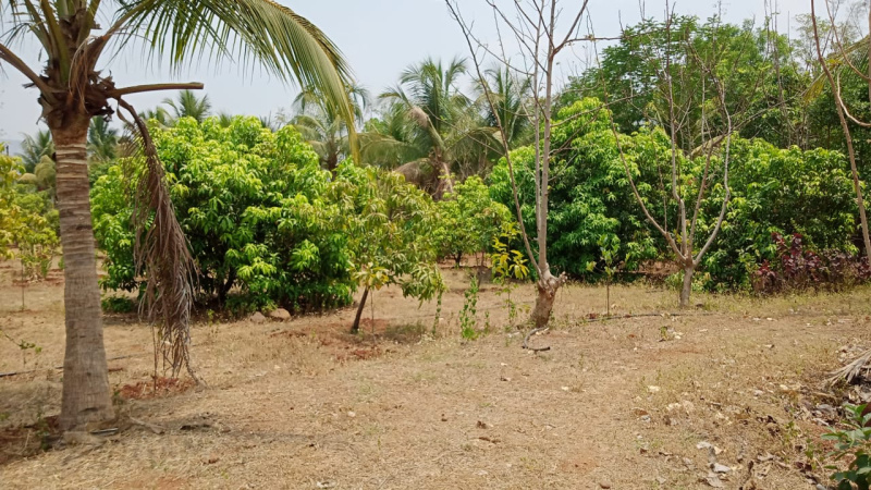 2 BHK Farm House for Sale in Murbad, Thane (5 Acre)