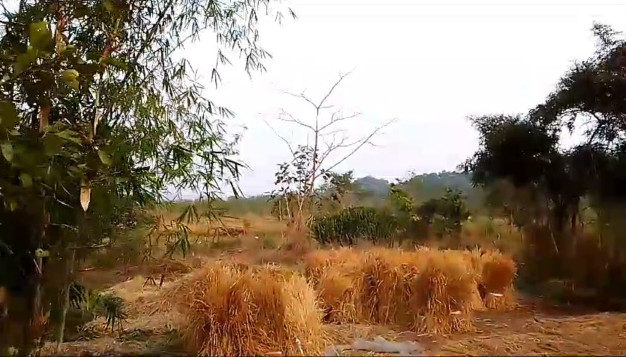 22 Guntha Agricultural/Farm Land for Sale in Murbad MIDC, Thane