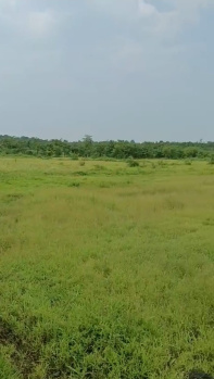 133 Guntha Agricultural/Farm Land for Sale in Murbad MIDC, Thane