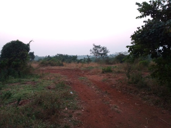 1 Acre Agricultural/Farm Land for Sale in Murbad MIDC, Thane
