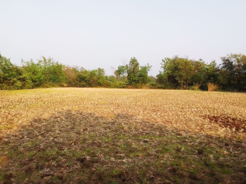 31 Guntha Agricultural/Farm Land for Sale in Mumbai