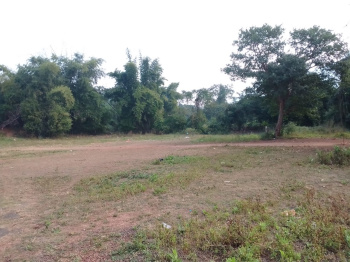 34 Guntha Agricultural/Farm Land for Sale in Murbad MIDC, Thane