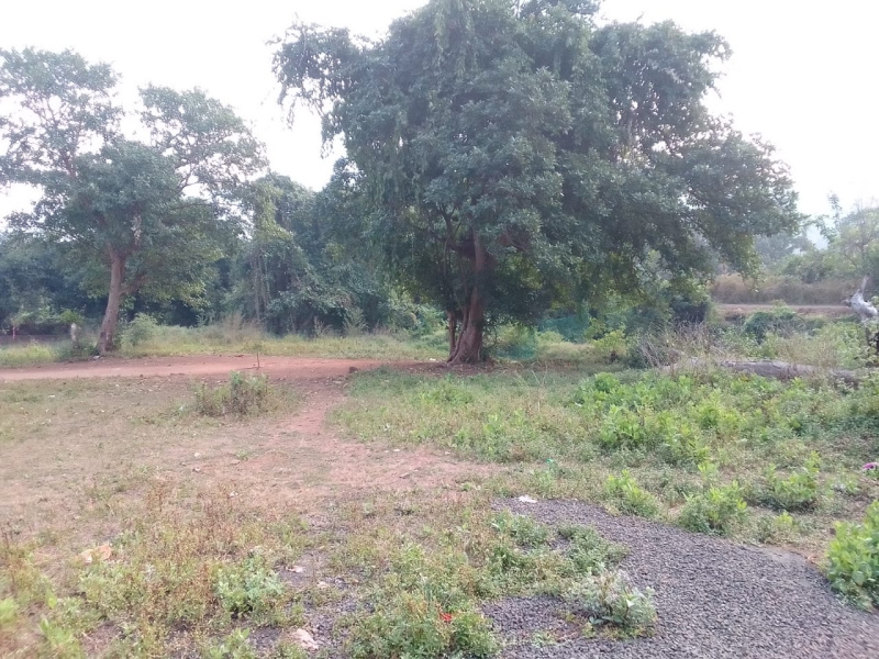 34 Guntha Agricultural/Farm Land for Sale in Murbad MIDC, Thane