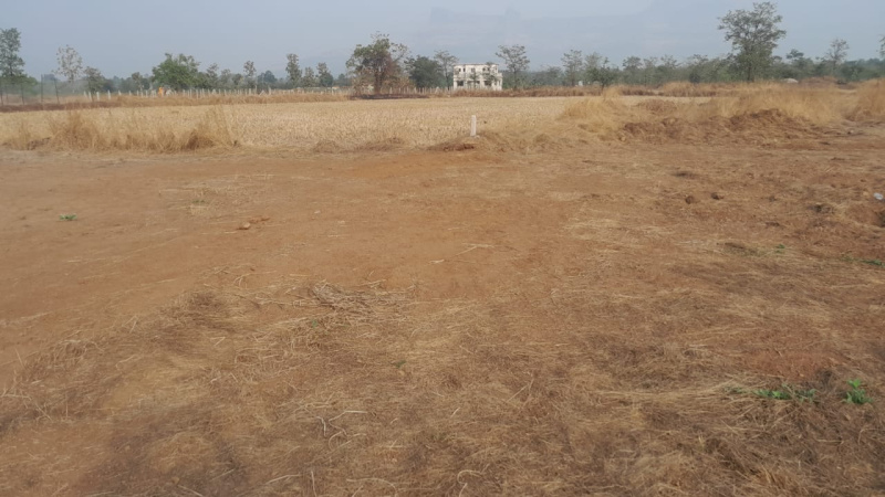 52 Guntha Agricultural/Farm Land for Sale in Murbad MIDC, Thane