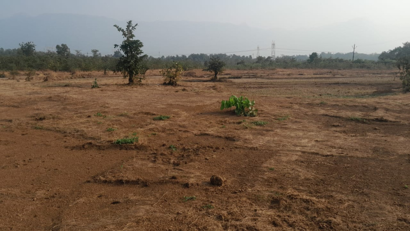52 Guntha Agricultural/Farm Land for Sale in Murbad MIDC, Thane