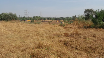 8 Ares Agricultural/Farm Land for Sale in Murbad MIDC, Thane