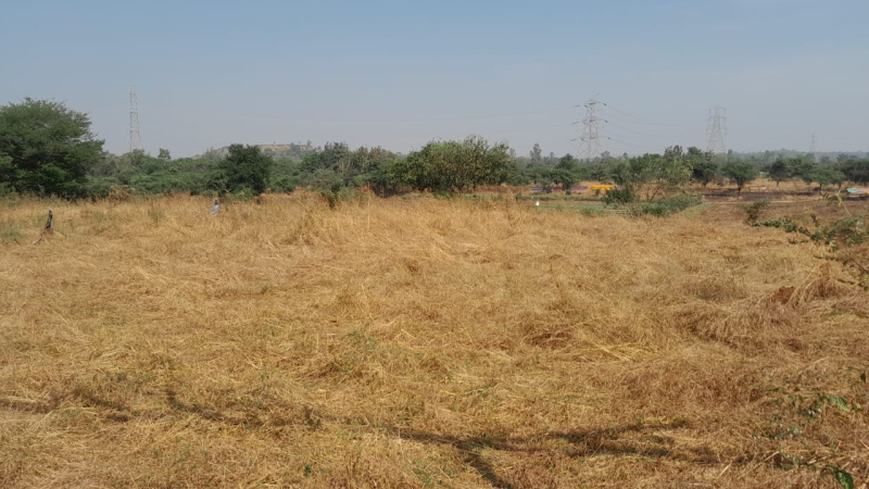 8 Ares Agricultural/Farm Land for Sale in Murbad MIDC, Thane