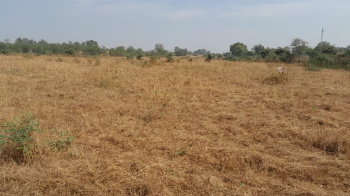 10 Acre Agricultural/Farm Land for Sale in Murbad MIDC, Thane
