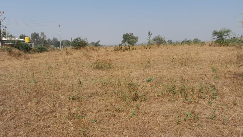 10 Acre Agricultural/Farm Land for Sale in Murbad MIDC, Thane