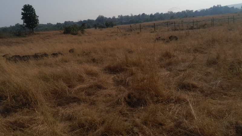 7 Acre Agricultural/Farm Land for Sale in Shahapur, Thane
