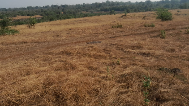 7 Acre Agricultural/Farm Land for Sale in Shahapur, Thane