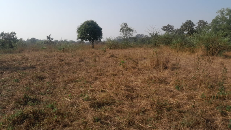 15 Acre Agricultural/Farm Land for Sale in Murbad MIDC, Thane