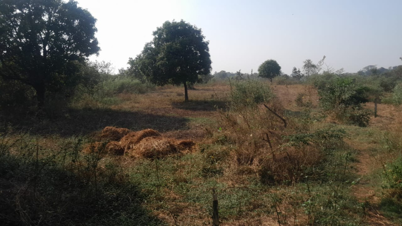 15 Acre Agricultural/Farm Land for Sale in Murbad MIDC, Thane