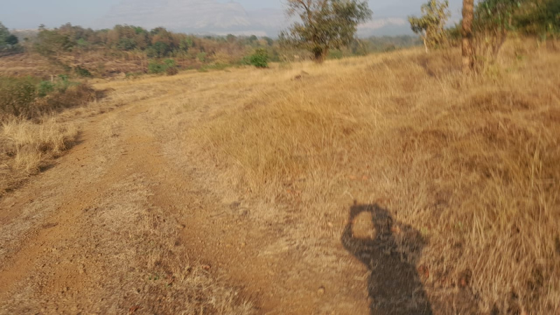 9 Ares Agricultural/Farm Land for Sale in Shahapur, Thane