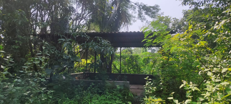 20 Guntha Agricultural/Farm Land for Sale in Muranjan Wadi, Mumbai