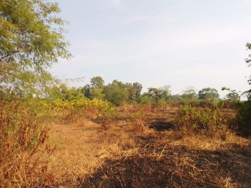 22 Acre Agricultural/Farm Land for Sale in Murbad, Thane