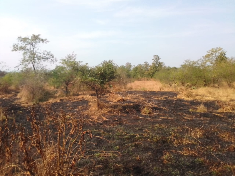 22 Acre Agricultural/Farm Land for Sale in Murbad, Thane