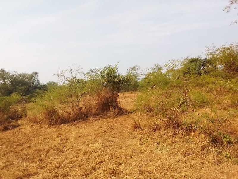 8 Acre Agricultural/Farm Land for Sale in Murbad, Thane